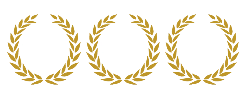 Awards won by SVP Media.